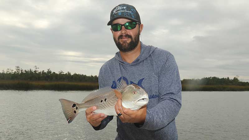 redfish