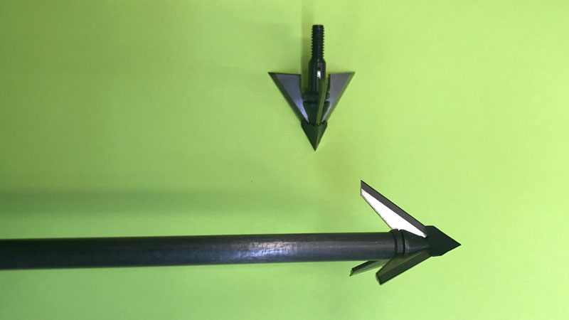 broadheads