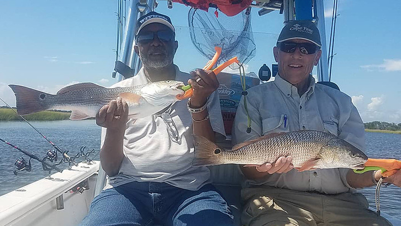 fish