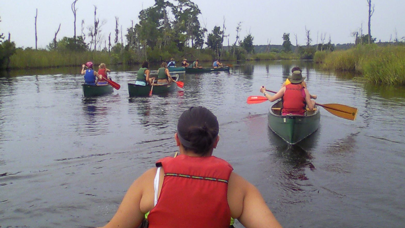 Camp Wild Wood