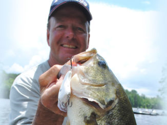 bass