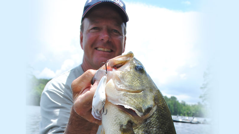 bass