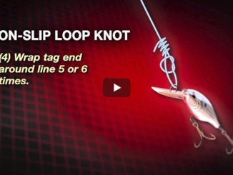 loop knot