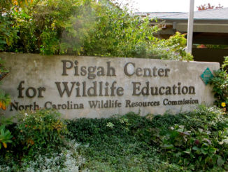 Pisgah Center
