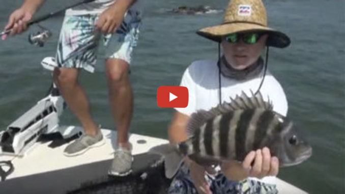 sheepshead