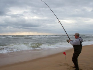 surf fishing