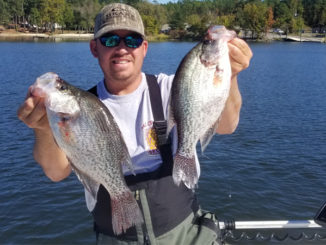 crappie