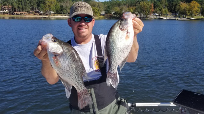 crappie