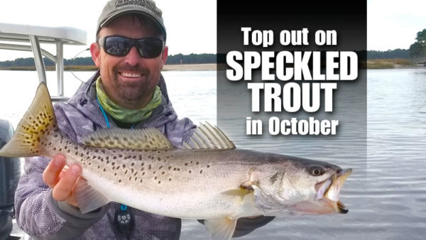 Top out on speckled trout in October