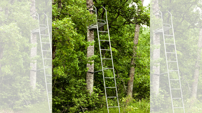 tree stand