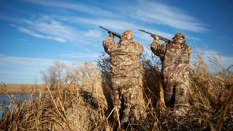 waterfowl