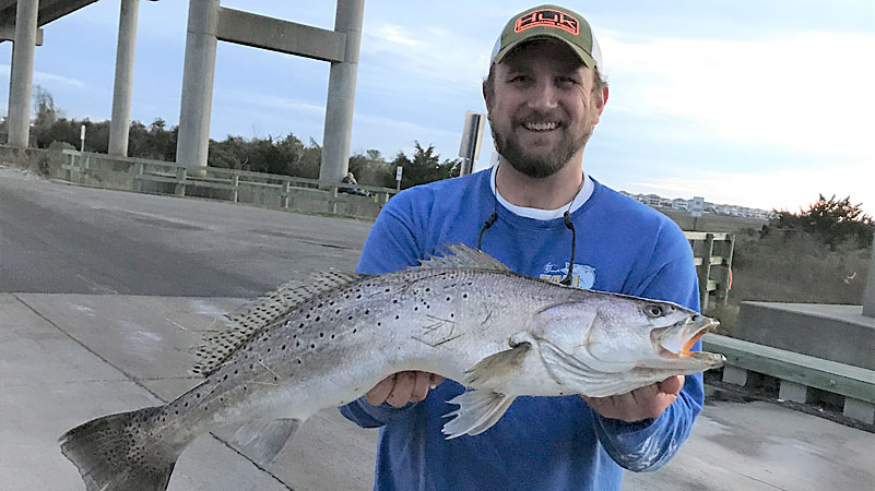 speckled trout
