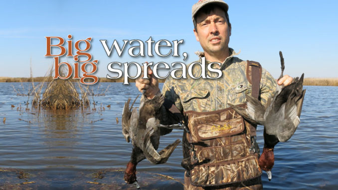 For big water, use a big decoy spread - Carolina Sportsman