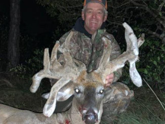 Cactus buck