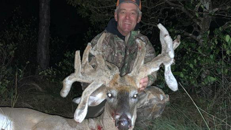 Cactus buck