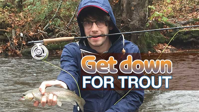 winter trout