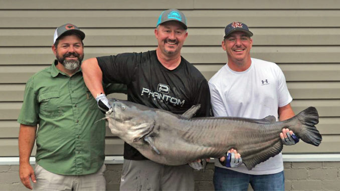 Jason Cribb 77 catfish