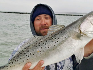 Murrells Inelt speckled trout