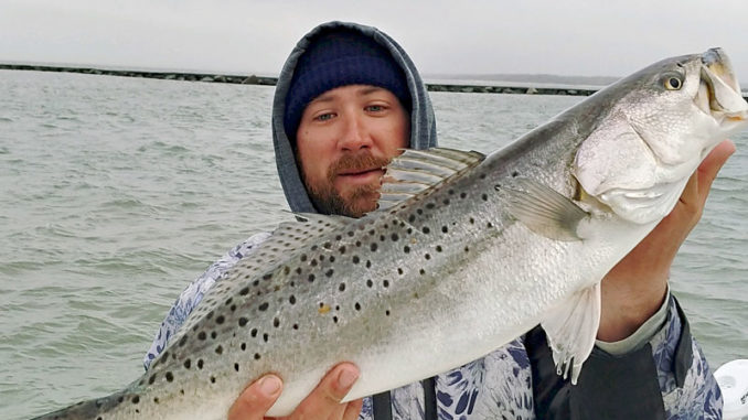 Murrells Inelt speckled trout