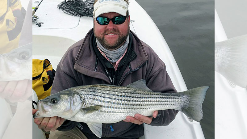 New Bern stripers