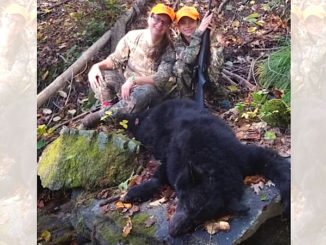 Upstate Bear Hunt
