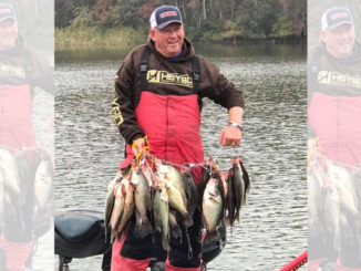 cold weather crappie