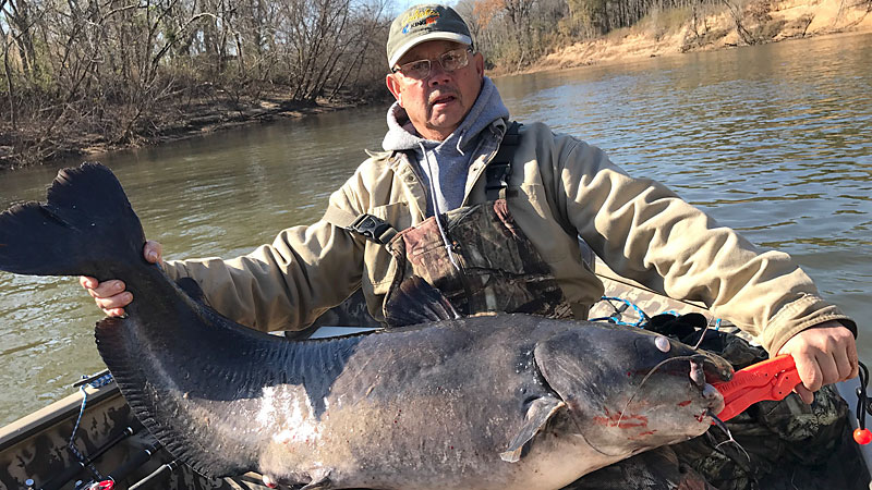 SC's Wateree River is winter catfish heaven - Carolina Sportsman