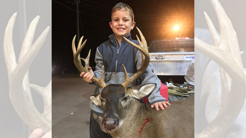 12-point buck