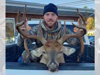 Greenville County buck