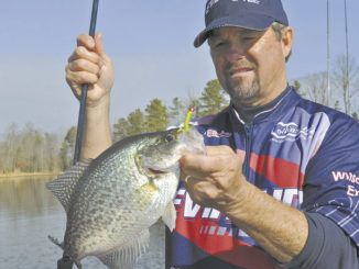winter crappie
