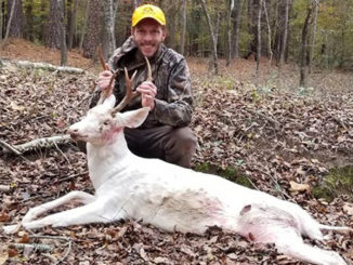 solid white buck