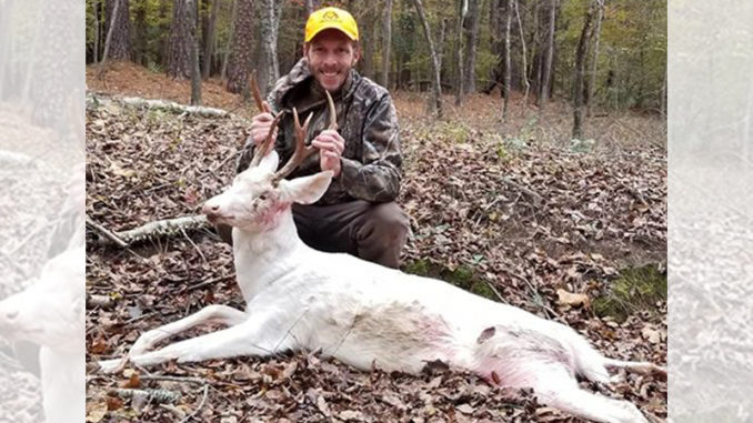 solid white buck