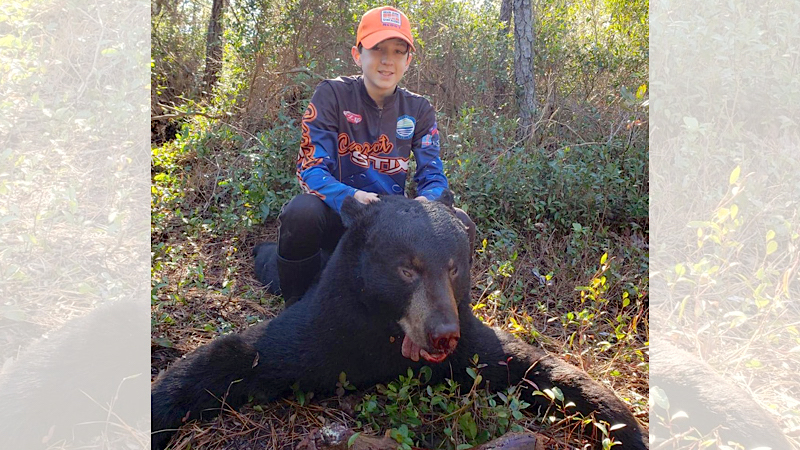 Onslow County bear