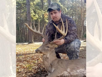 Warren County 14-point