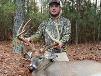 Moore County buck