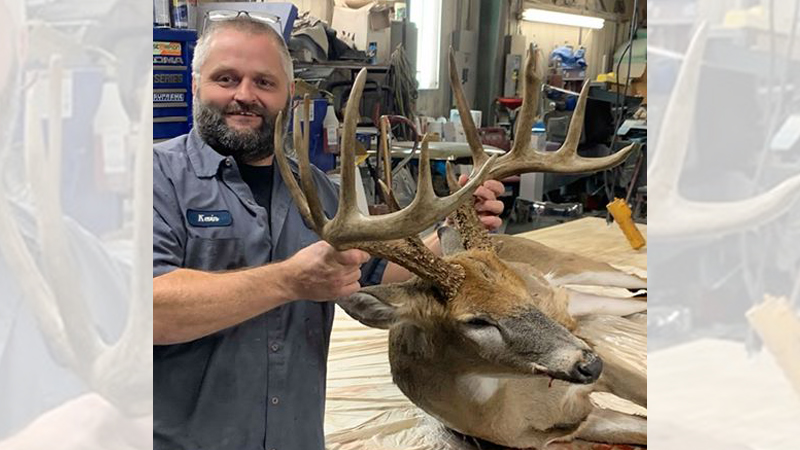 massive 14-point