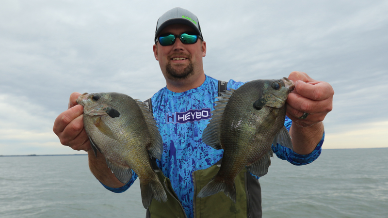 bream and crappie