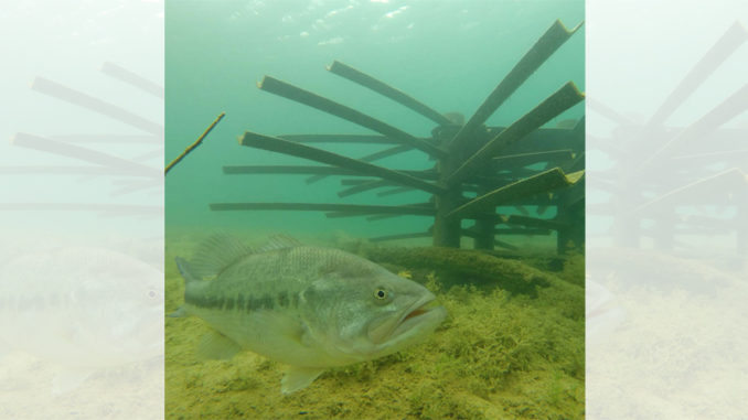 NCWRC seeks input on fish attractor locations - Carolina Sportsman