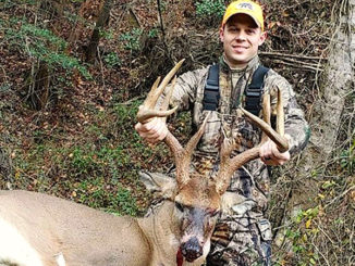 11-pointer