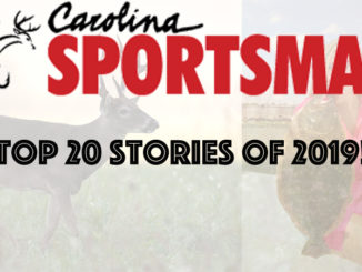 top 20 stories