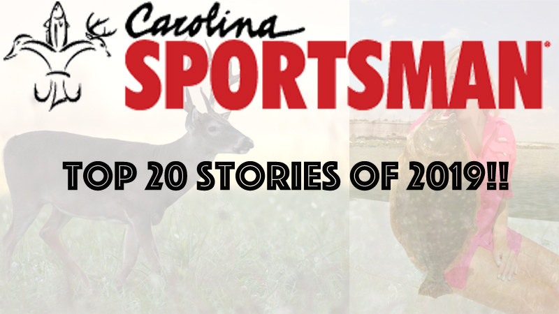 top 20 stories