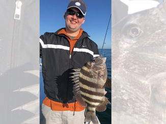 fishing forecast