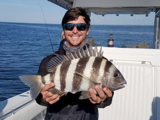 sheepshead