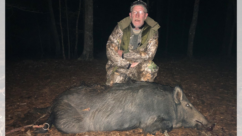 hog hunting