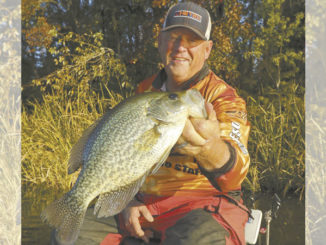 cold-water crappie