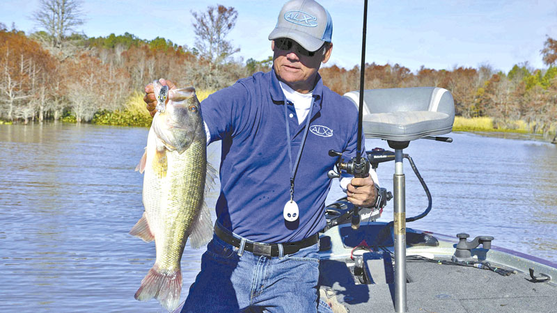 February bass
