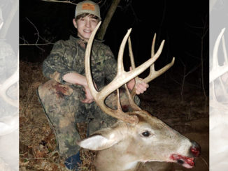 8-point buck