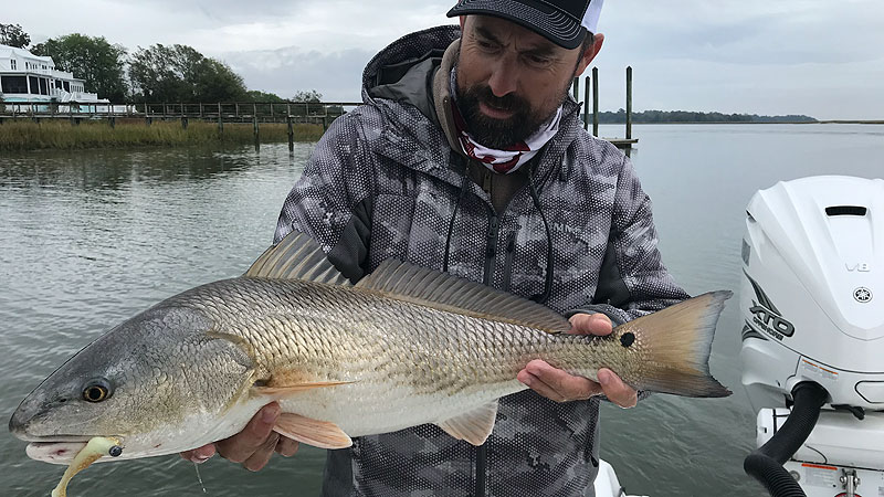 redfish