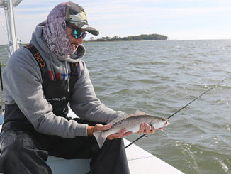 Stono River specks