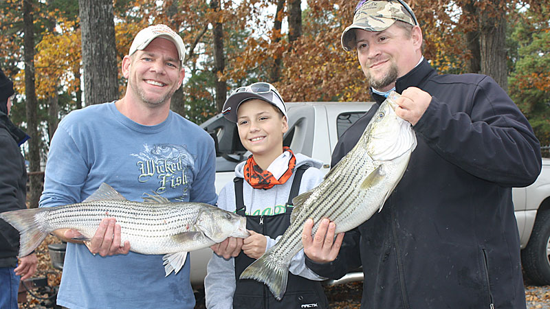 High Rock's winter striped bass